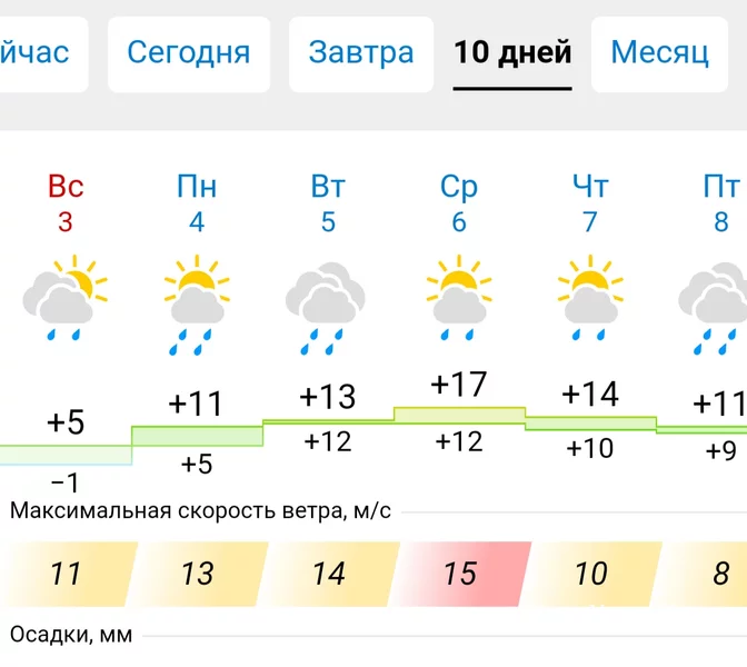 cc5935d4040528159295f.webp