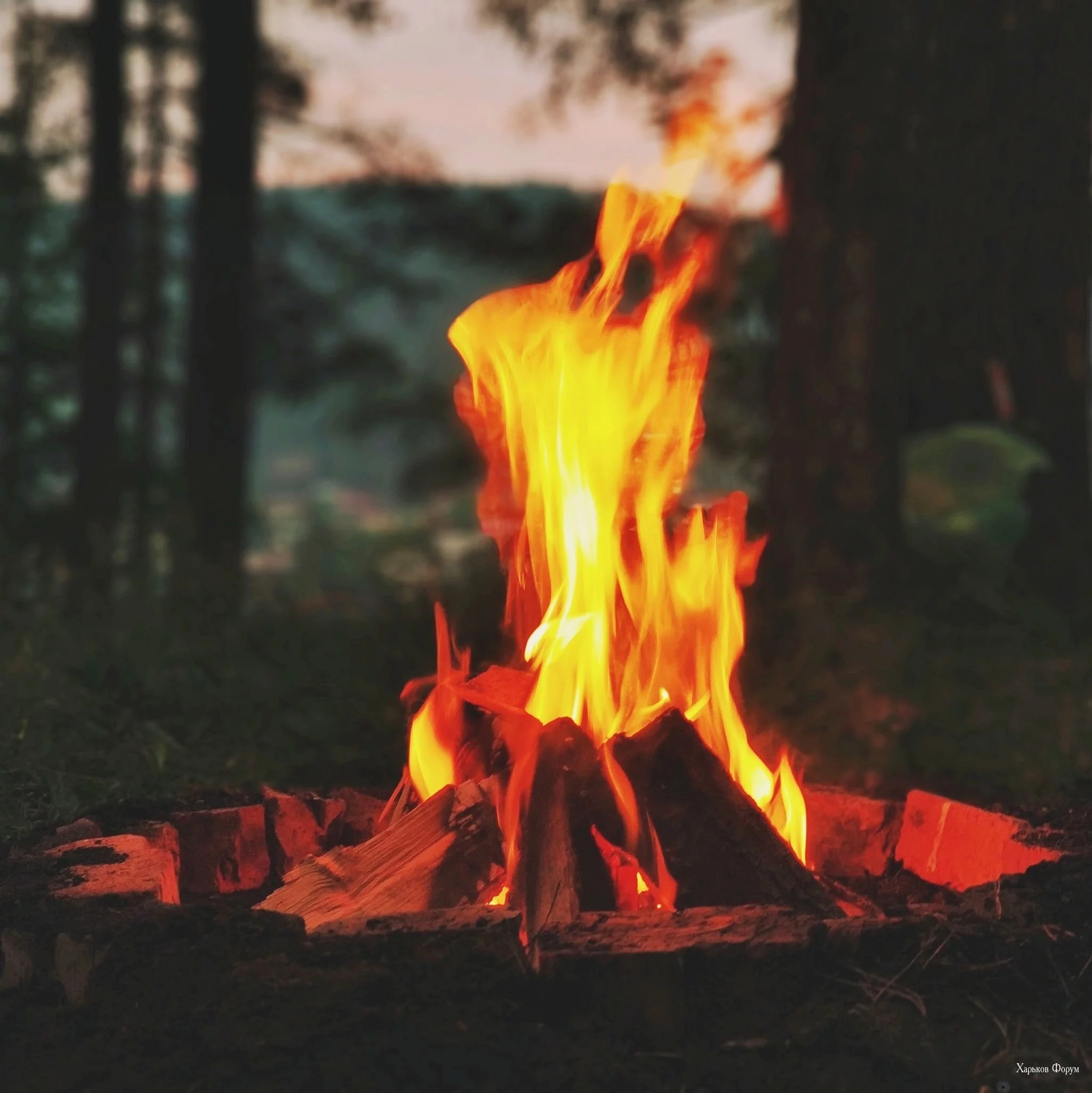 cc5b81373e3abd61c9.webp