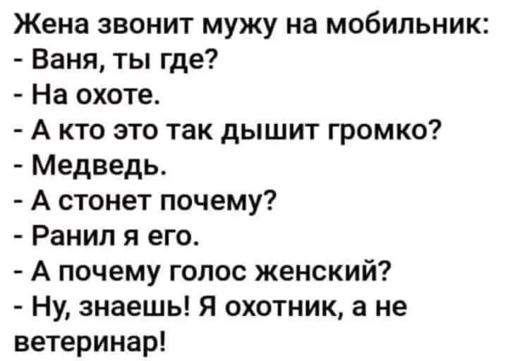 cc5d6b218a81f5398143.webp