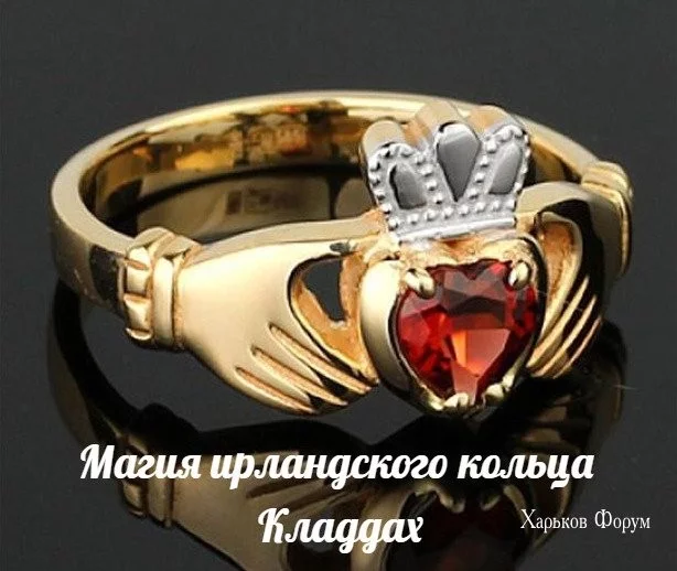 cc64633a952f1b5989a8d58.webp