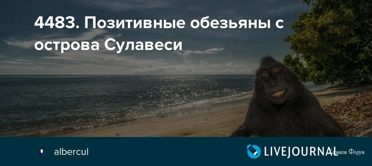 cc6d5656cad69956560eb0.webp