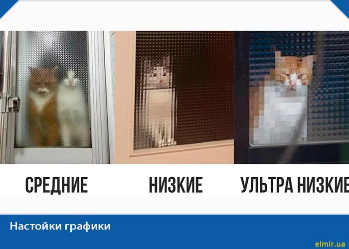 cc7cjj.webp