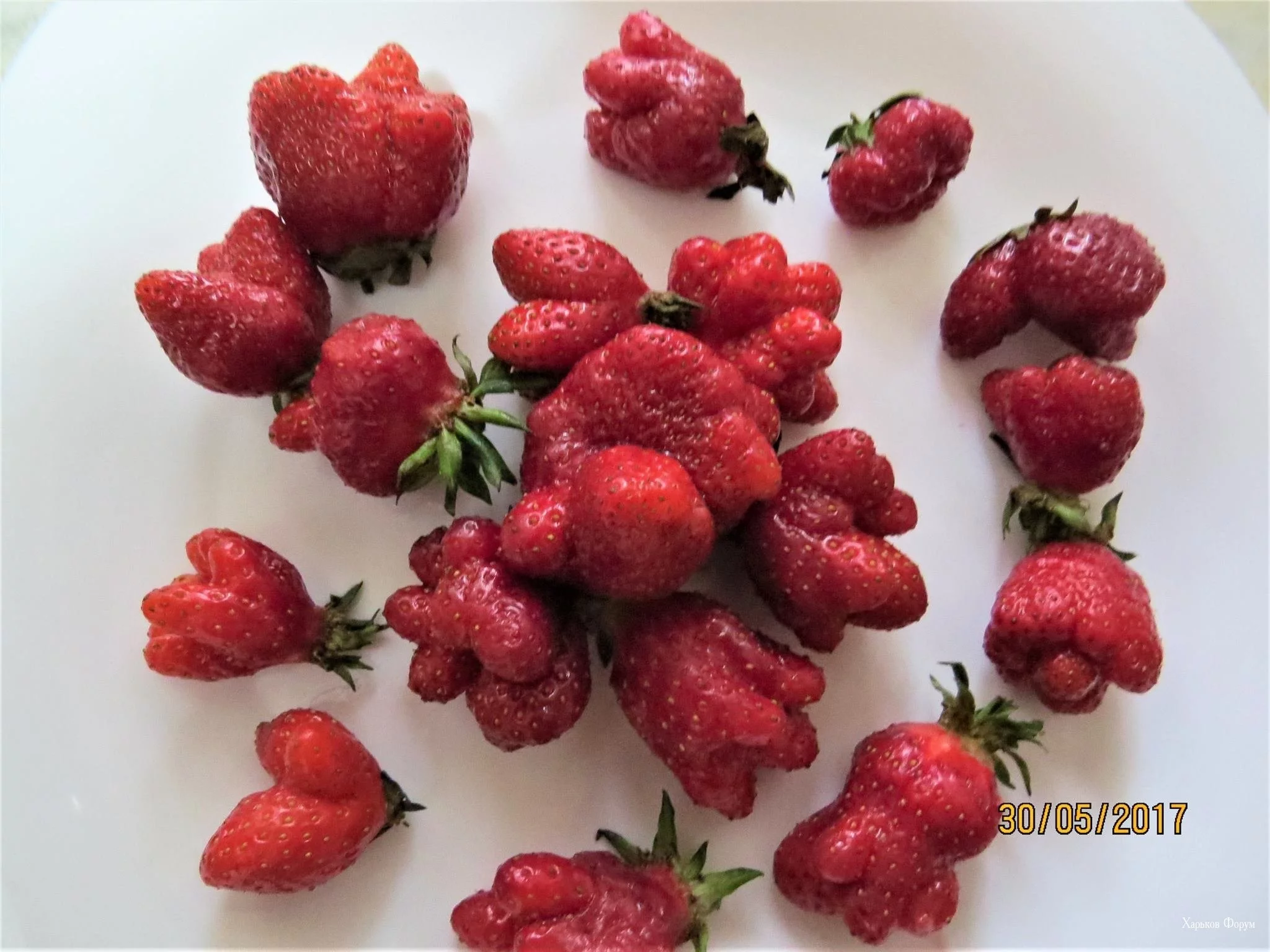 cc888a32e70b2af02.webp