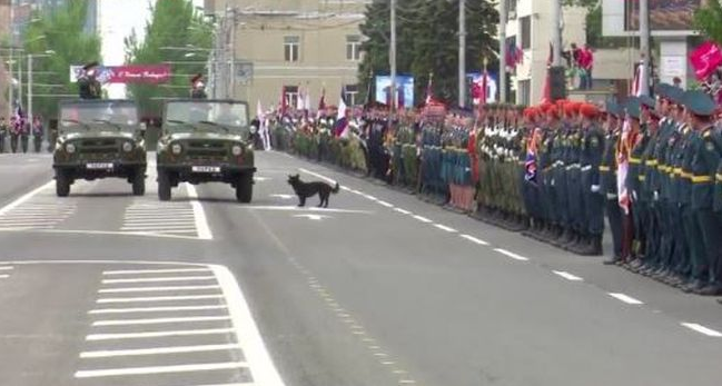 cc8fgj.png