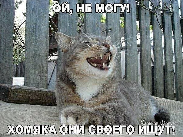 cc92f463e41f5325a62.webp
