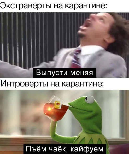 cc9304d6677464552684159ec13b9b51.webp