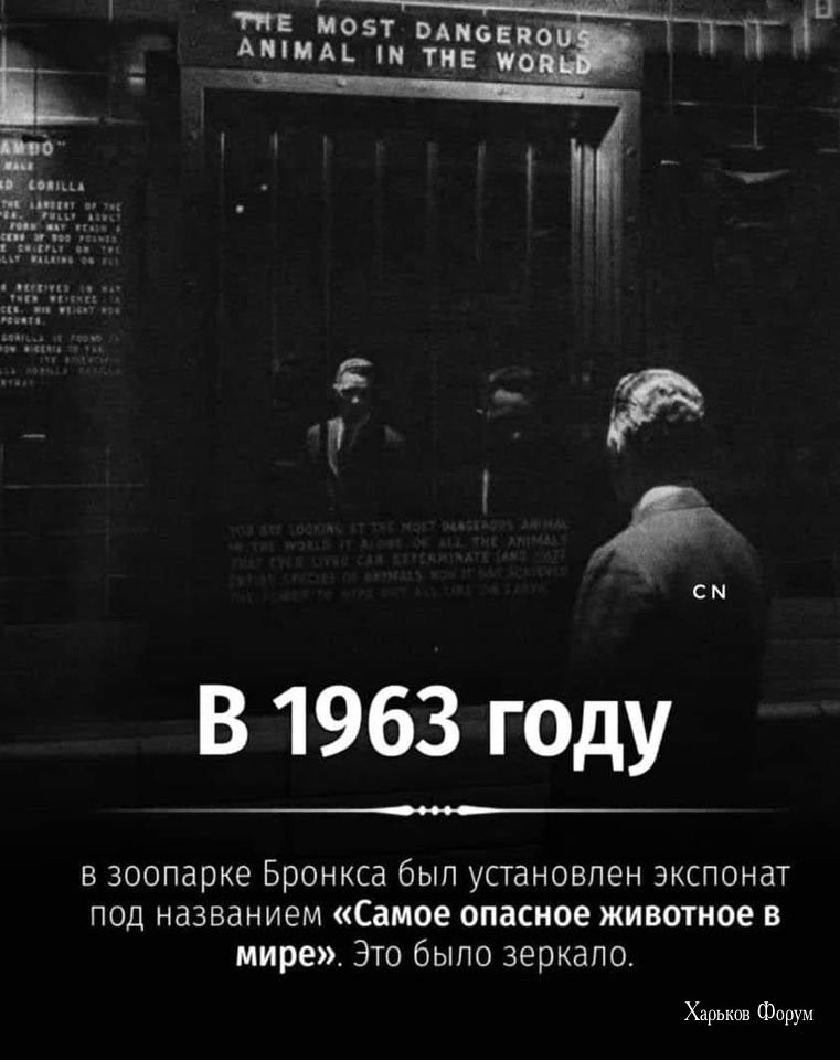 cc9a9f737e97cdeba9fa5c.jpg