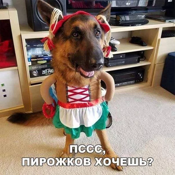 ccage2.webp
