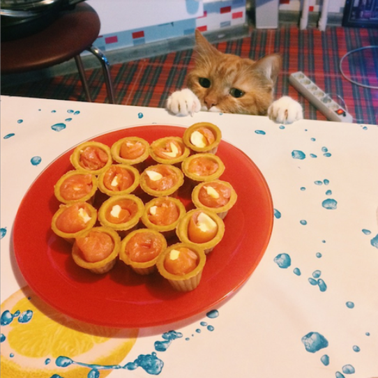 ccajf0.png
