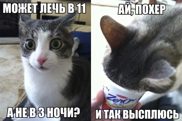-cCazHcWTsk.webp