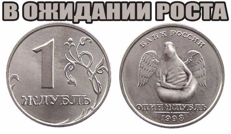 ccb9ca.webp