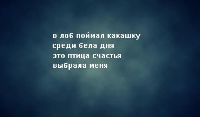 ccba1a.webp