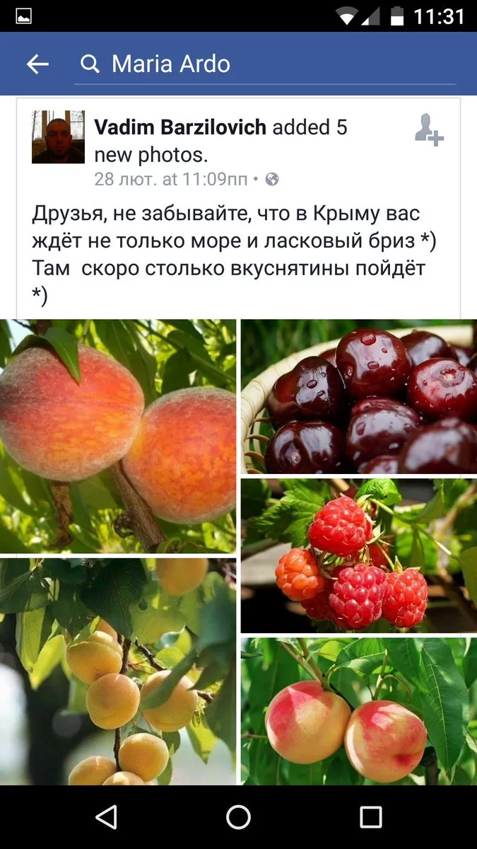 Ccc-SHCWIAAjqdR.webp