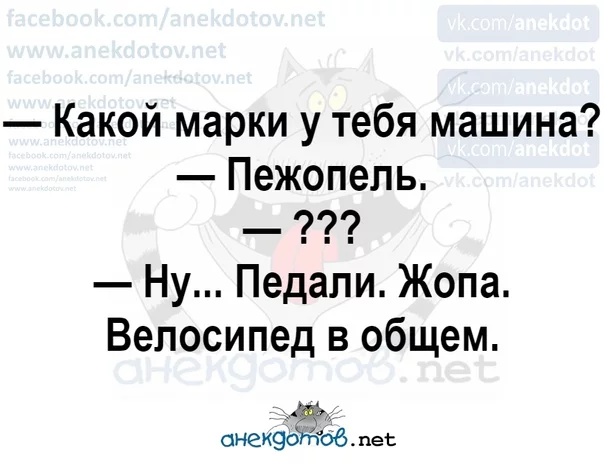 ccd5ab.webp