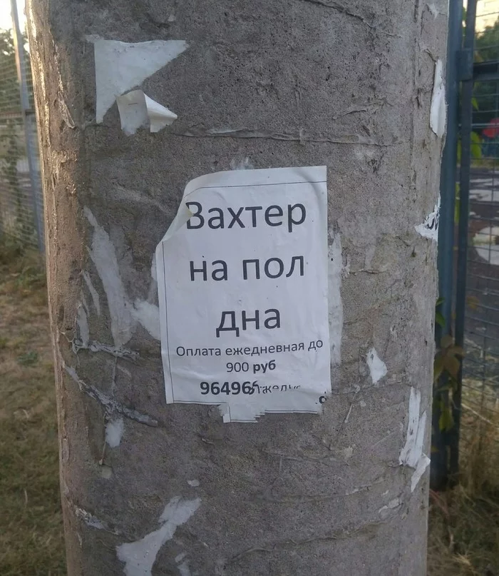 ccdja1.webp