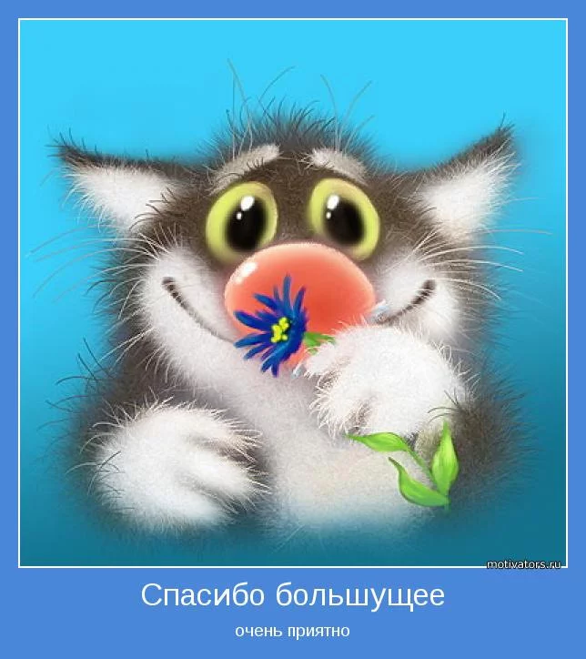 cce3bf.webp