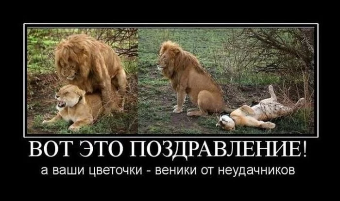 cceba1.webp