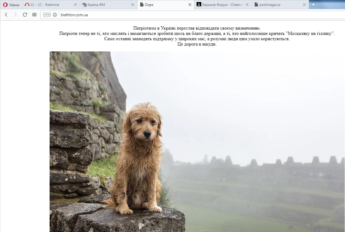 ccf6aa.webp