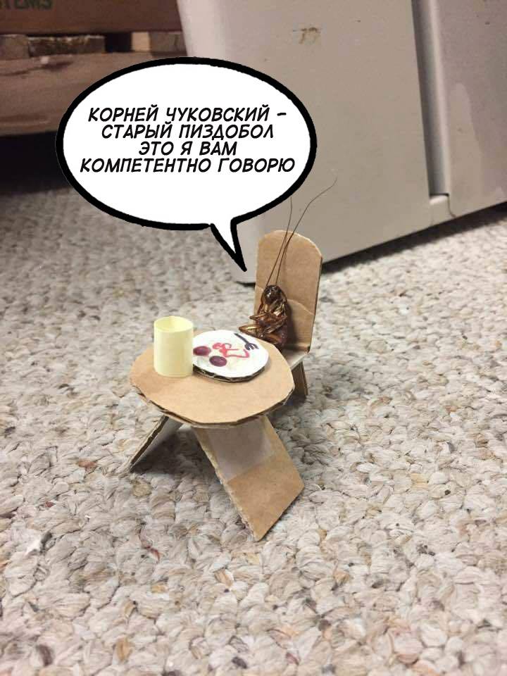 ccfa9e.jpg