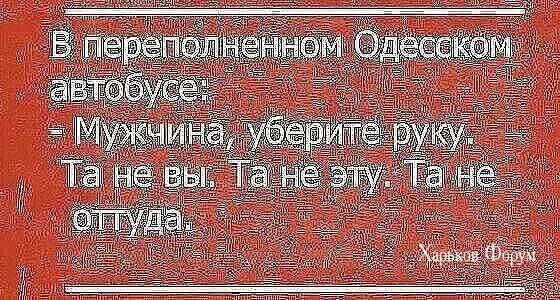 ccfbed4e1bf8447d67d4.webp