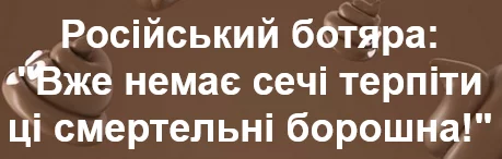 ccgad4.webp
