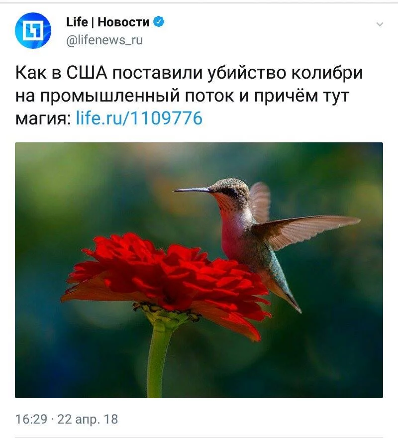 ccgeb7.webp