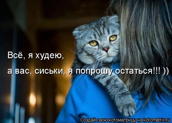 cch9fe.webp