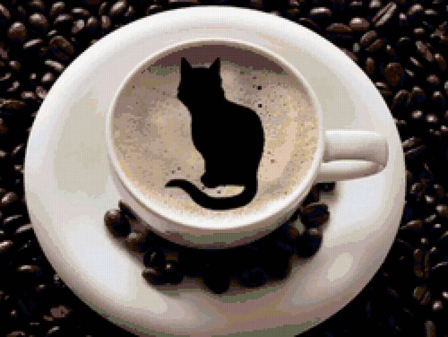 cchfa8.webp