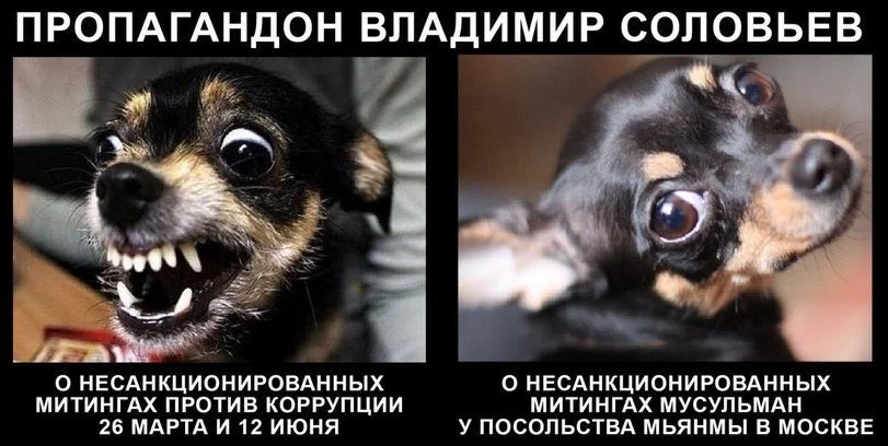 ccjf6d.webp