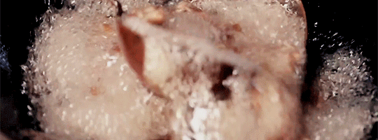 cd02a7461bd00e1777ca1716f5cfcd280ff0b778.gif
