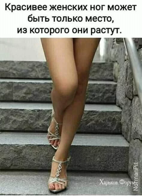 cd07b01ac85e4157ae17d629.webp