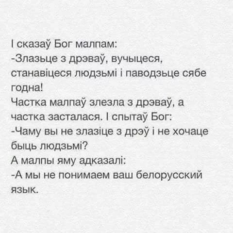 cd0bjd.webp