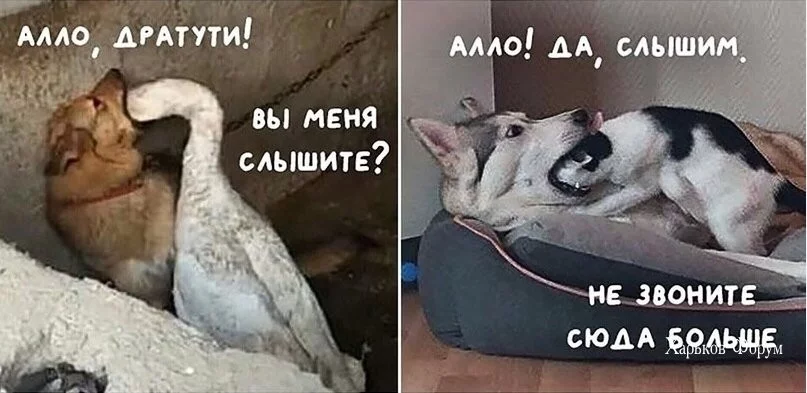 cd0e58123431d8fd35a40.webp