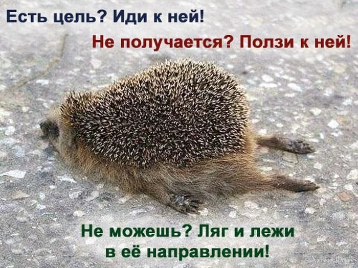 cd27169d5785660ed8a7927a5c14f8c4.webp