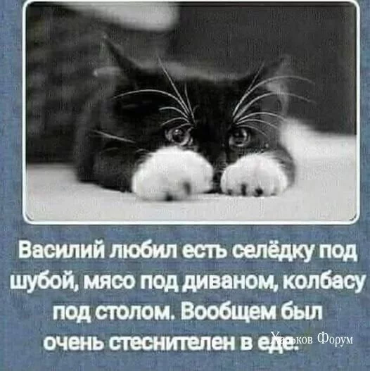 cd2b531af60376caf8c1a2.webp