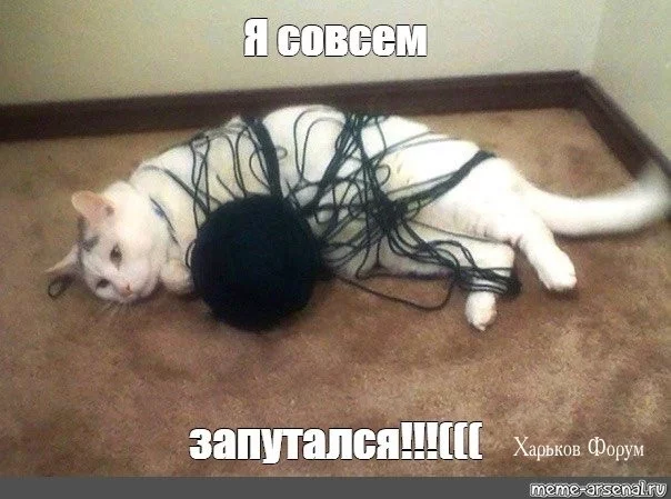 cd3dc9acbd0454f28292954e.webp