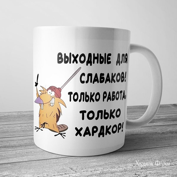 cd43b13fe4078e1484cfd9.jpg
