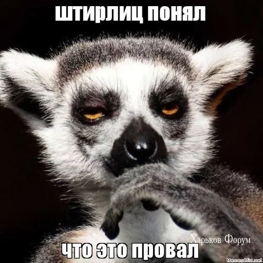 cd637d2452e20660c.webp