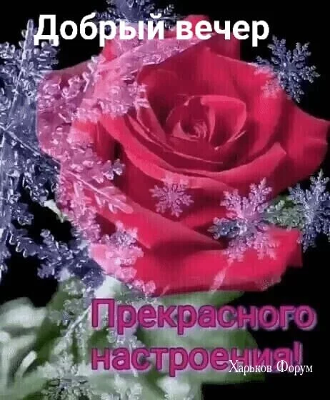 cd6740aa2b6eb491769c5.webp