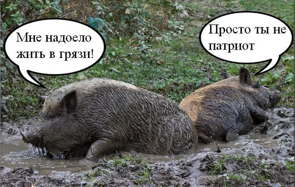 Cd6VP2JWAAE5poi.webp