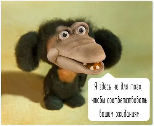 cd7gfh.webp