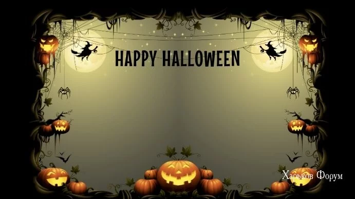 cd808e33c8c5685f.webp