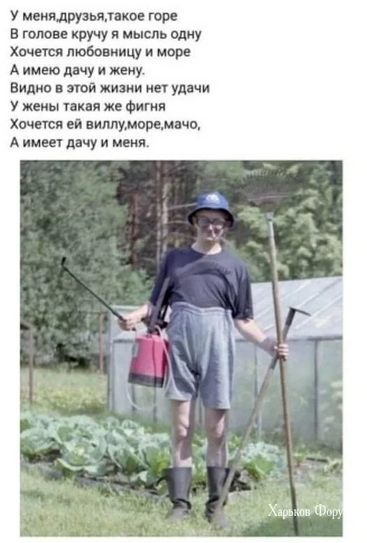 cd88c83955bf0c2beb59a.webp