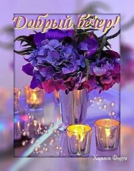 cd9a3aef2de2d1082467.webp