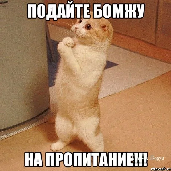 cd9ac7a89233658240451637.webp