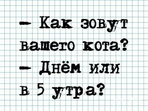 cd9f184d44eac6386a199f1.webp