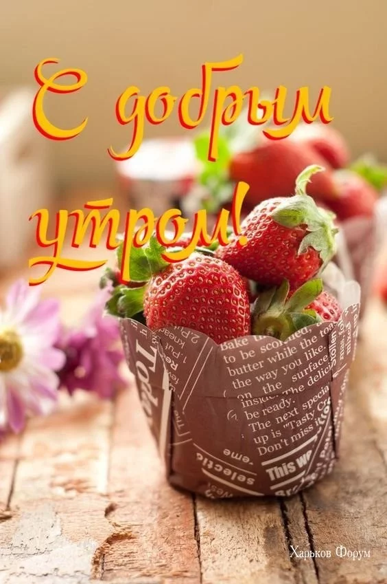 cda34c607d2c4a7c4a56.webp