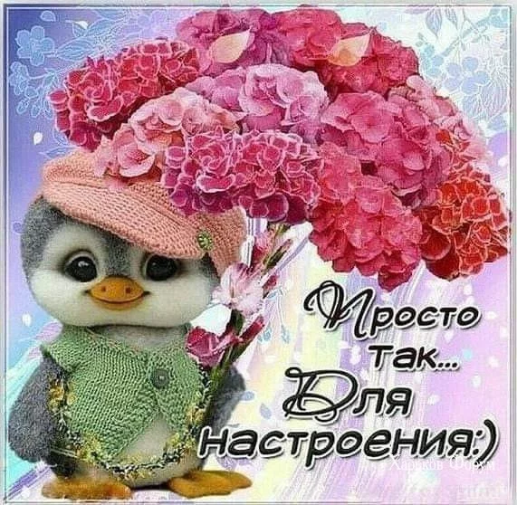cda6bbe1c679c98a4daf.webp