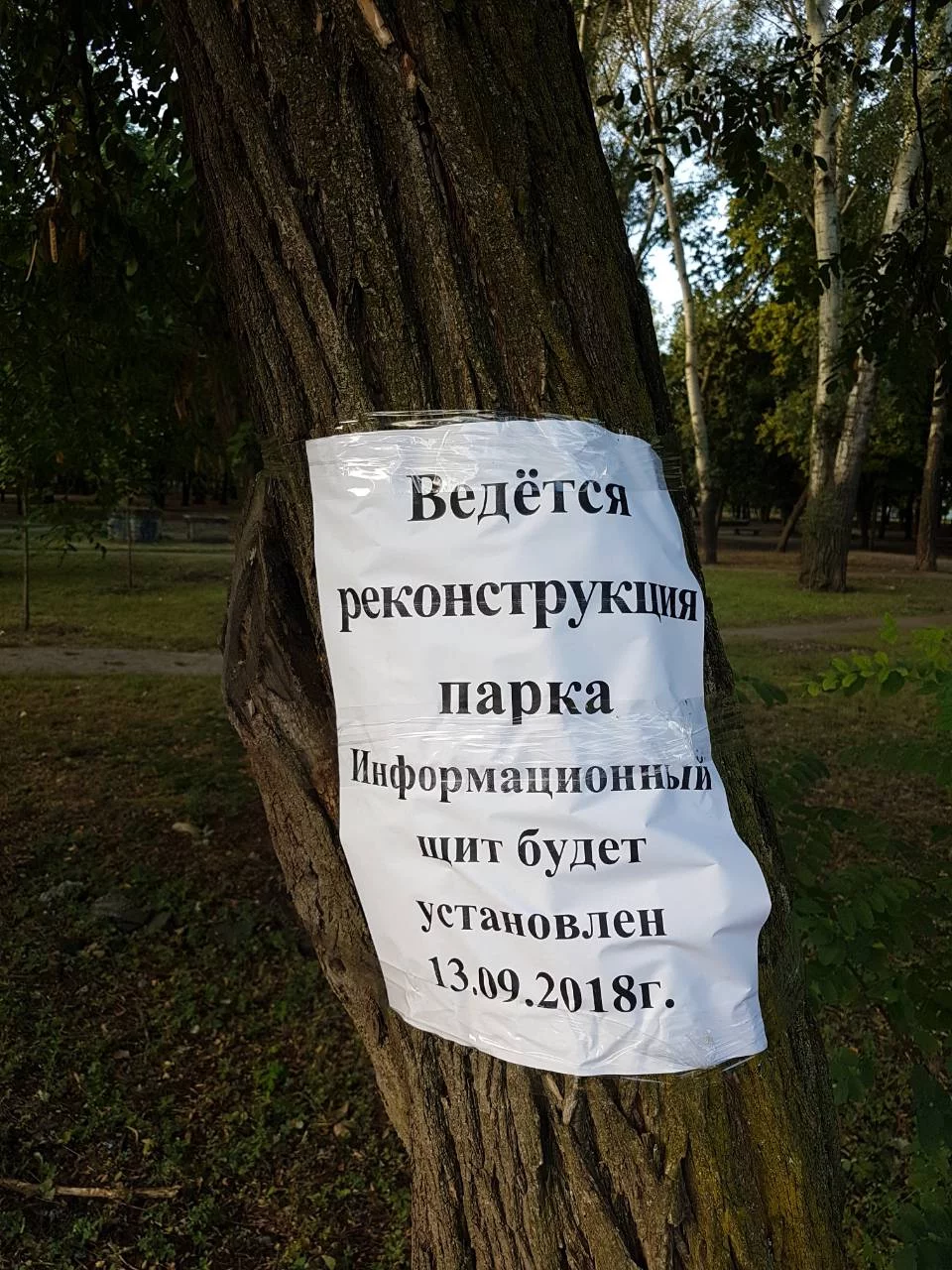 cdbaf6.webp