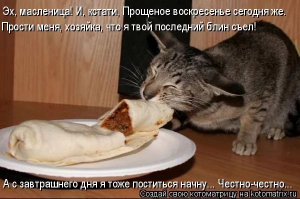 cdbgh2.webp